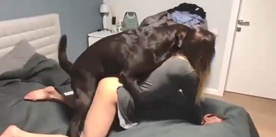 北京在国外的留学生被狗强奸了